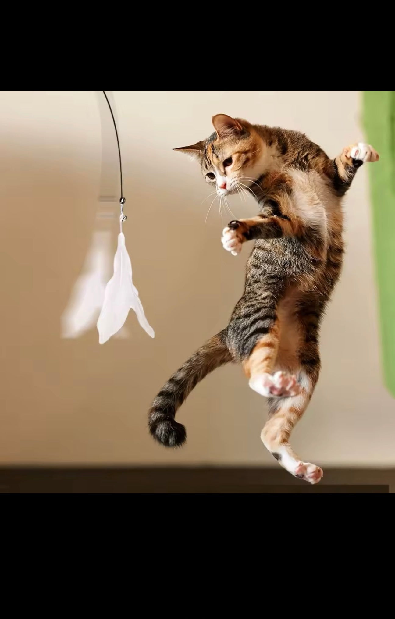 Interactive Cat Teaser Toy