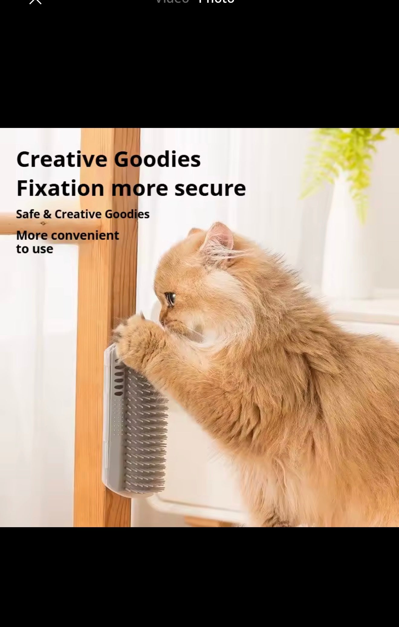 Self-Grooming Cat Corner Brush – Easy Wall Mounted Massager for Cats