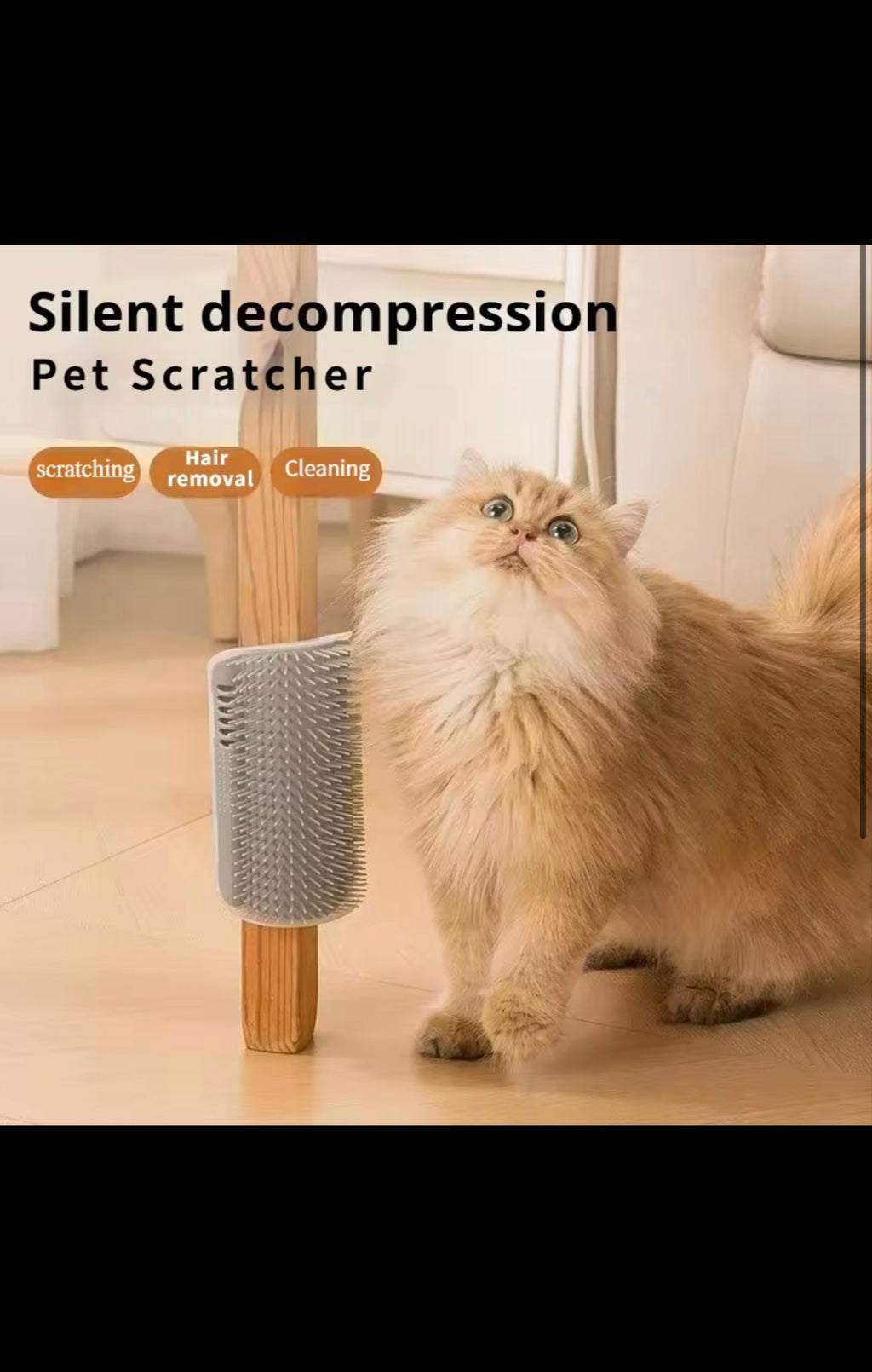 Self-Grooming Cat Corner Brush – Easy Wall Mounted Massager for Cats