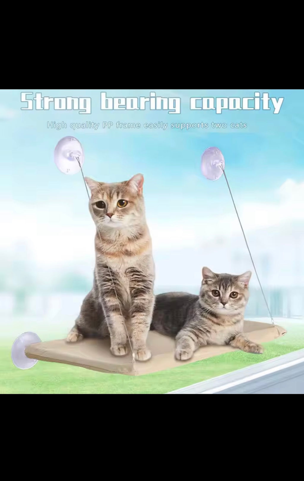 Luxury Cat Window Hammock – Strong Suction Window Bed