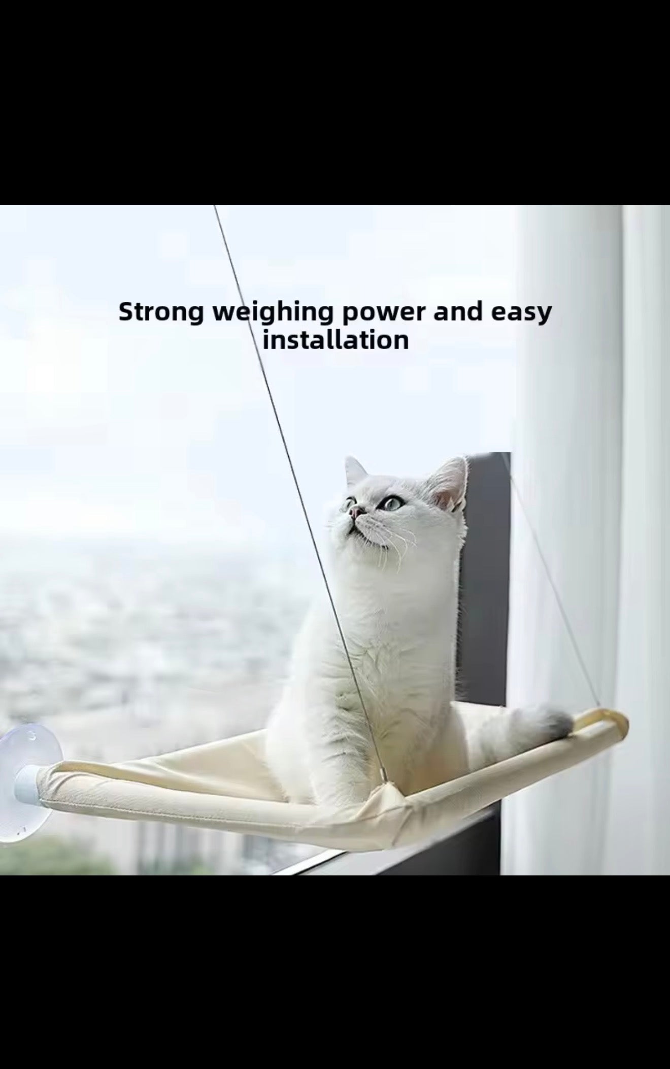Luxury Cat Window Hammock – Strong Suction Window Bed