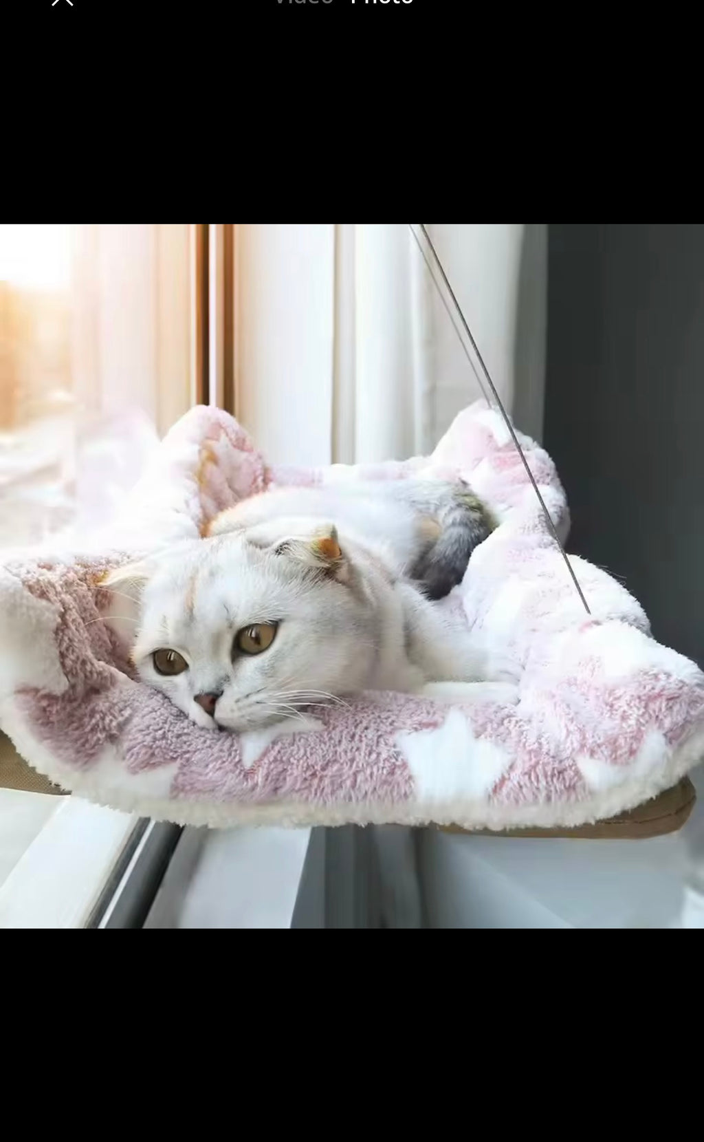 Luxury Cat Window Hammock – Strong Suction Window Bed
