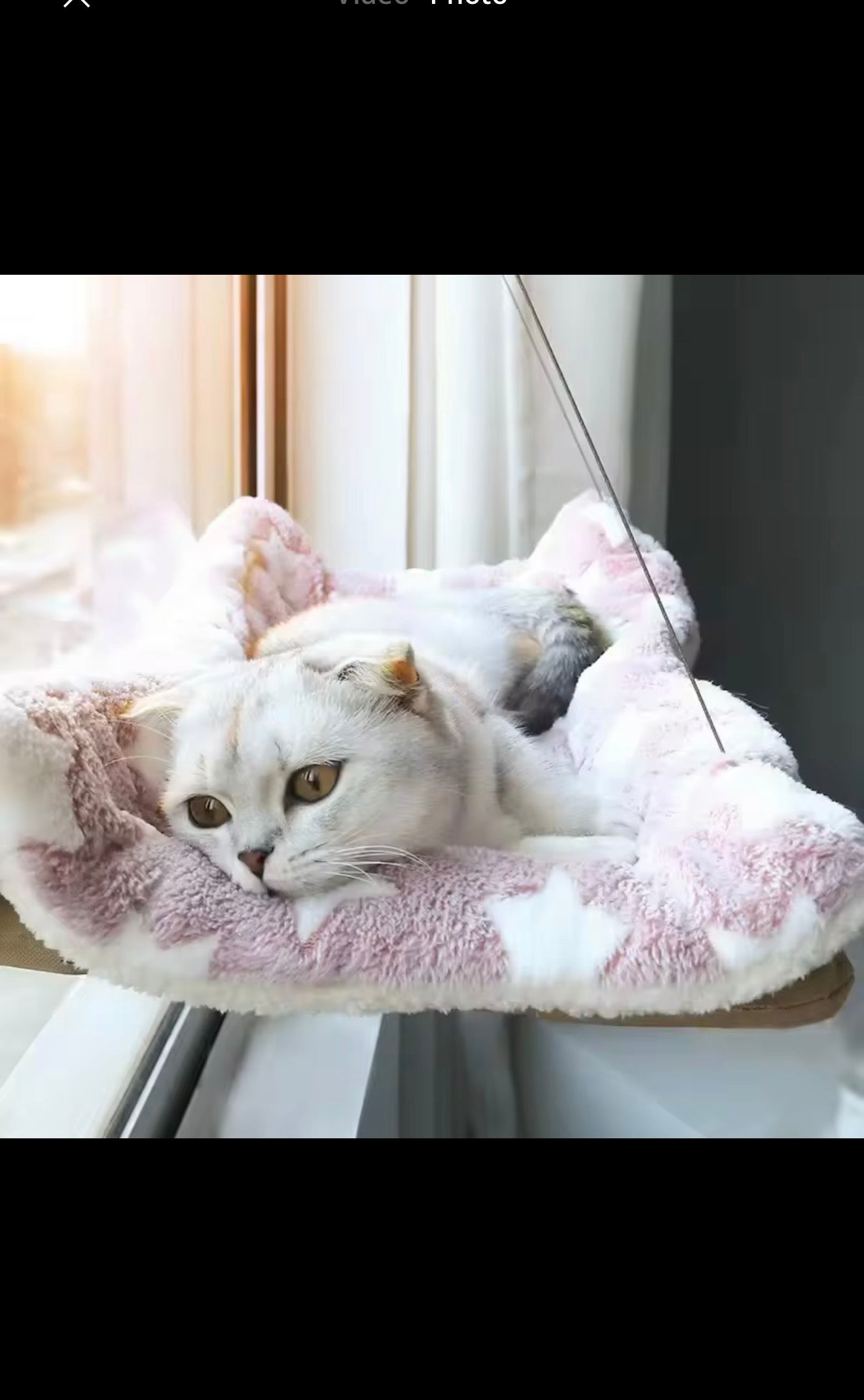 Luxury Cat Window Hammock – Strong Suction Window Bed