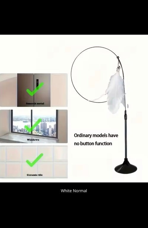 Interactive Cat Teaser Toy